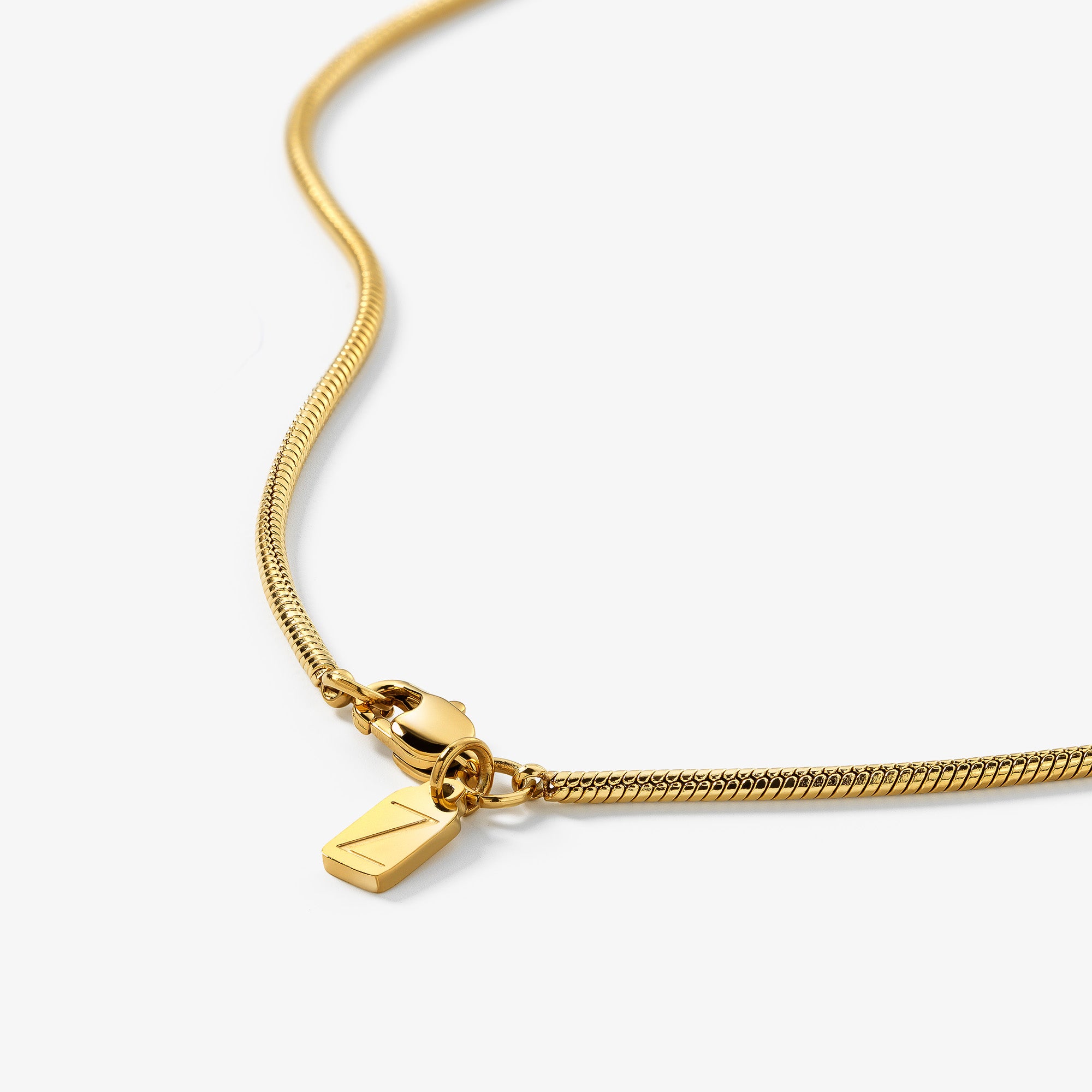 Snake Chain Necklace