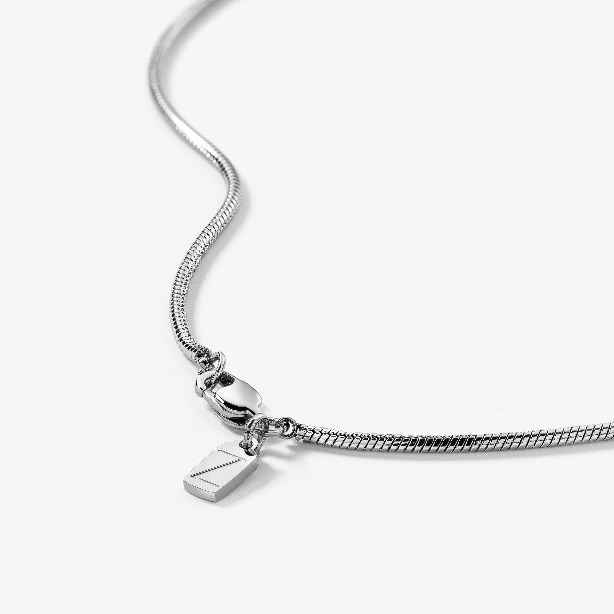 Snake Chain Necklace