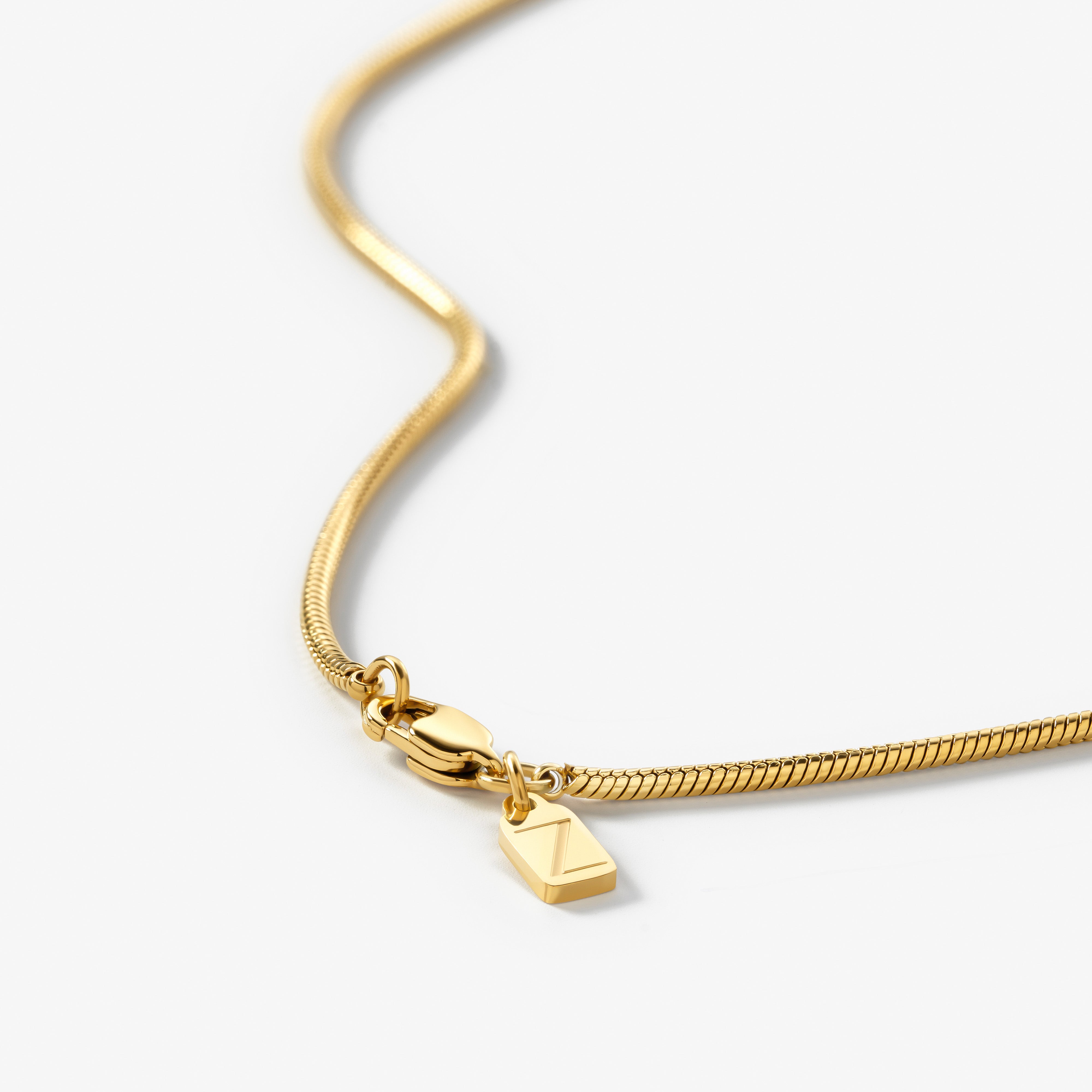 Snake Chain Necklace